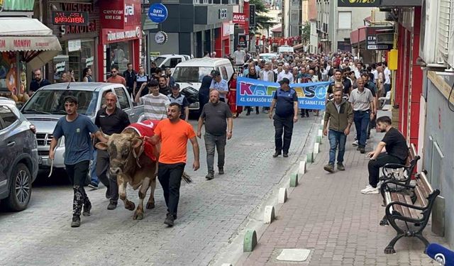 43. Kafkasör Festivali boğalı kortej yürüyüşüyle başladı