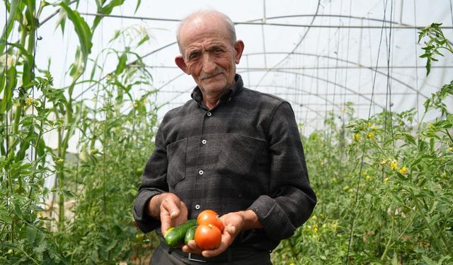 Bayburt'ta bir çiftçi "Ata tohumu memleket meselesi"