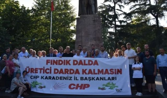 CHP Genel Başkan Yardımcısı Adem, Trabzon'da fındık taban fiyatına ilişkin açıklama yaptı