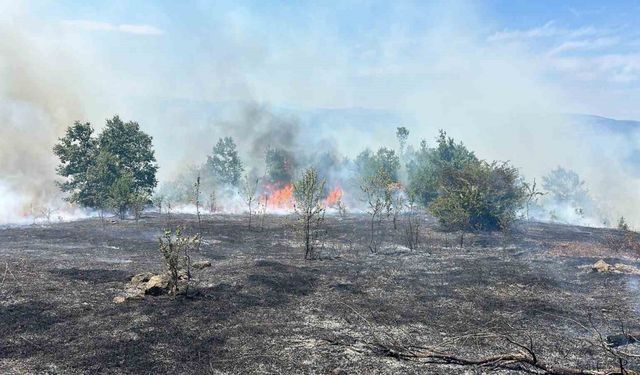Samsun’da 25 dönümlük tarım arazisi yangında zarar gördü