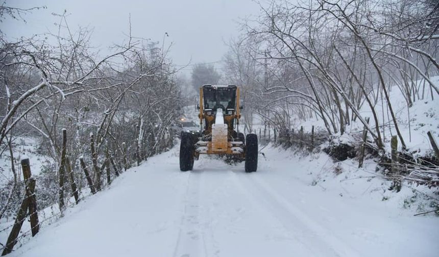 Giresun'da kar yağışı nedeniyle kapanan köy yollarından 10'u ulaşıma açıldı
