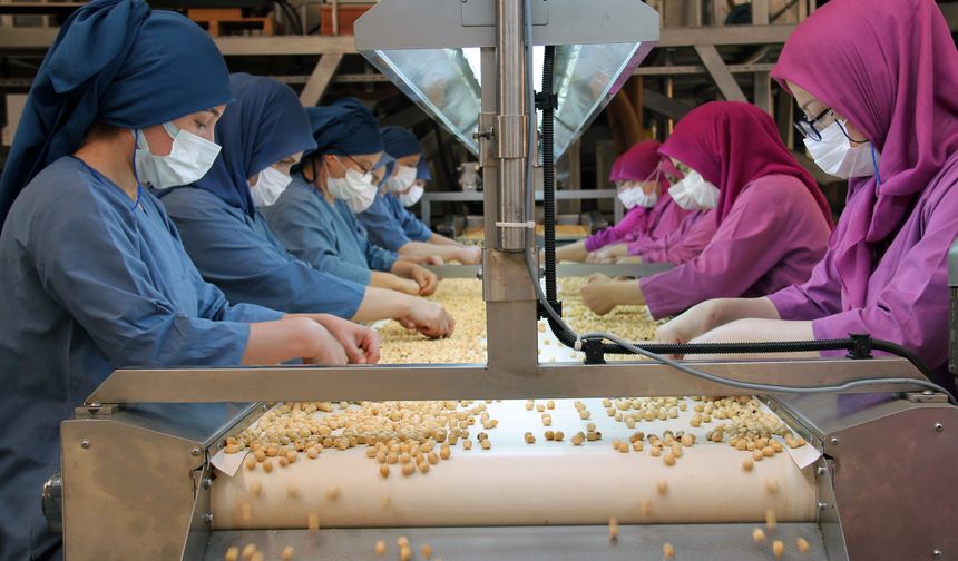 FİSKOBİRLİK kadın işçilerin omuzlarında üretime ve ihracata katkı sağlamaya devam ediyor