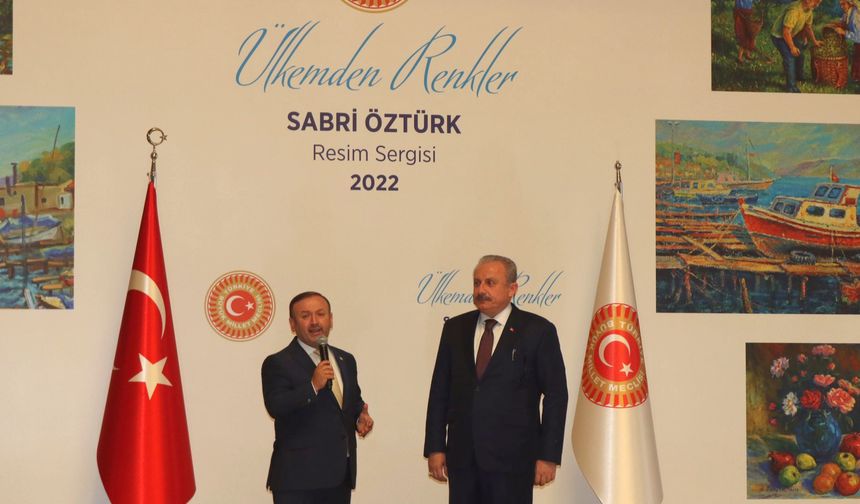 Ak Parti Milletvekili Av. Sabri Öztürk'ün 7. Kişisel Resim Sergisi "Ülkemden Renkler" TBMM'de sergiye sunuldu
