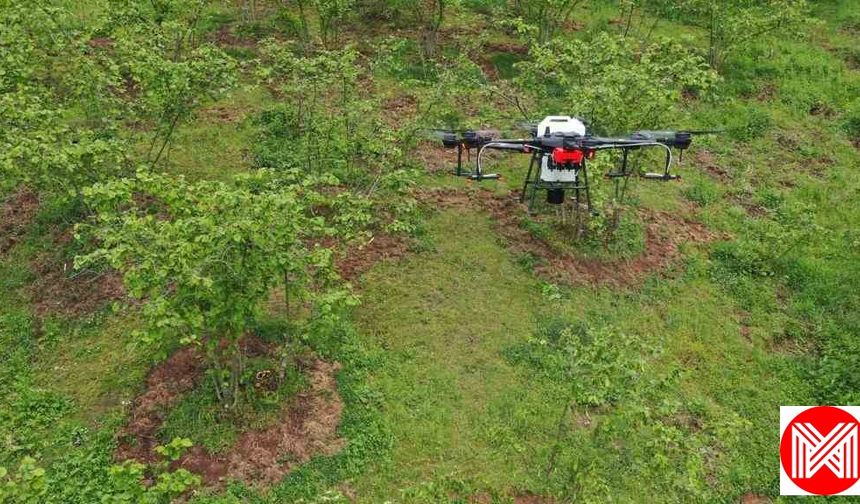 Ordulu Üretici Bahçesini Drone İle İlaçlıyor !