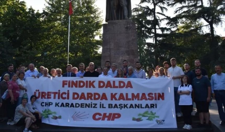 CHP Genel Başkan Yardımcısı Adem, Trabzon'da fındık taban fiyatına ilişkin açıklama yaptı