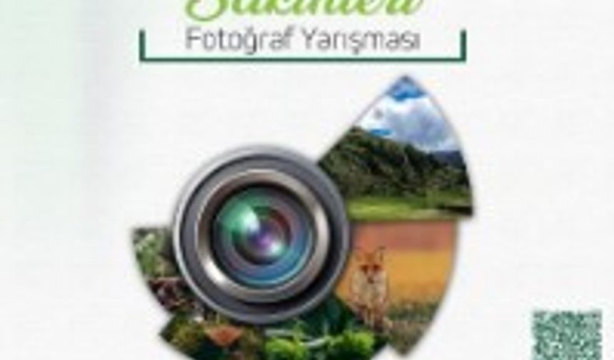 Ormanın Sakinleri: Fotoğraf Yarışması Başladı!