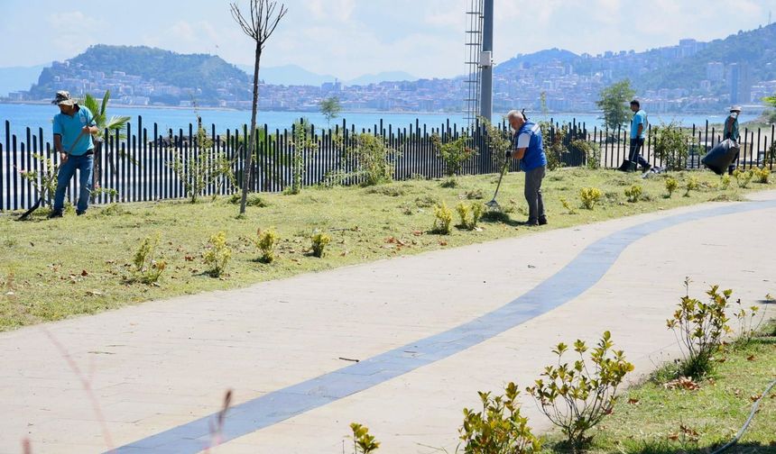 Giresun'da Estetik Hamlesi! Şehir Renkleniyor