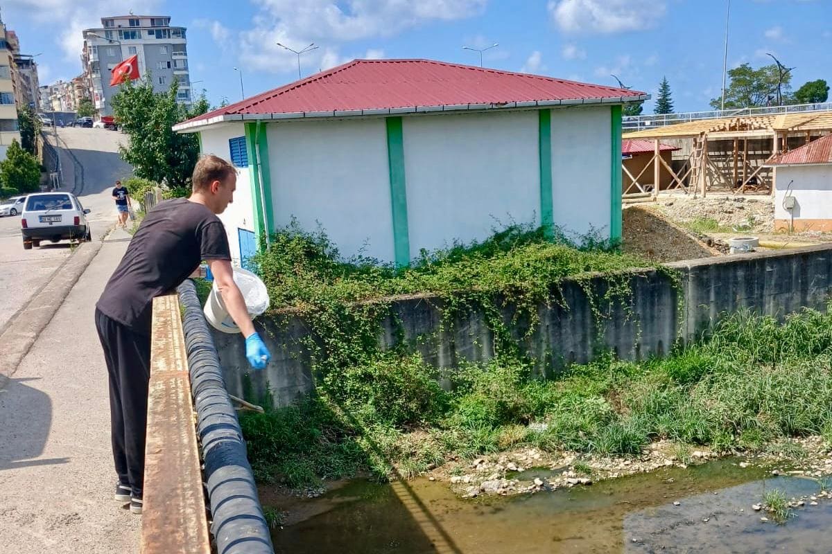 Giresun Ilaçlama Kayalıklar Sinek Böcek Bulancak