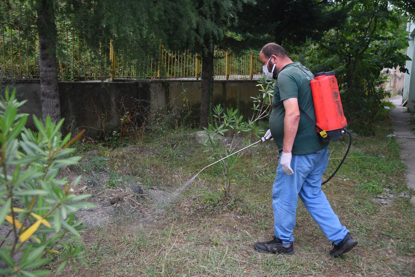 Giresun’da Haşere Mücadelesi Hız Kesmiyor (1)